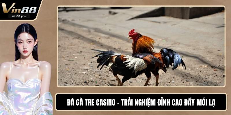 Đá Gà Tre Casino - Trải Nghiệm Đỉnh Cao Đầy Mới Lạ