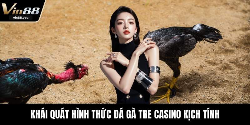 Khái quát hình thức đá gà tre casino kịch tính