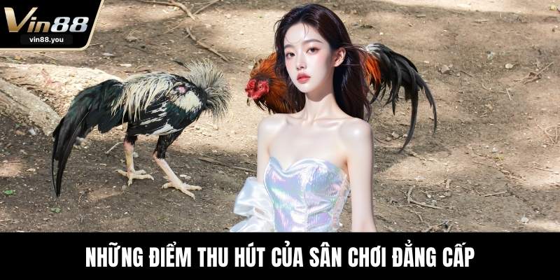 Những điểm thu hút của sân chơi đẳng cấp